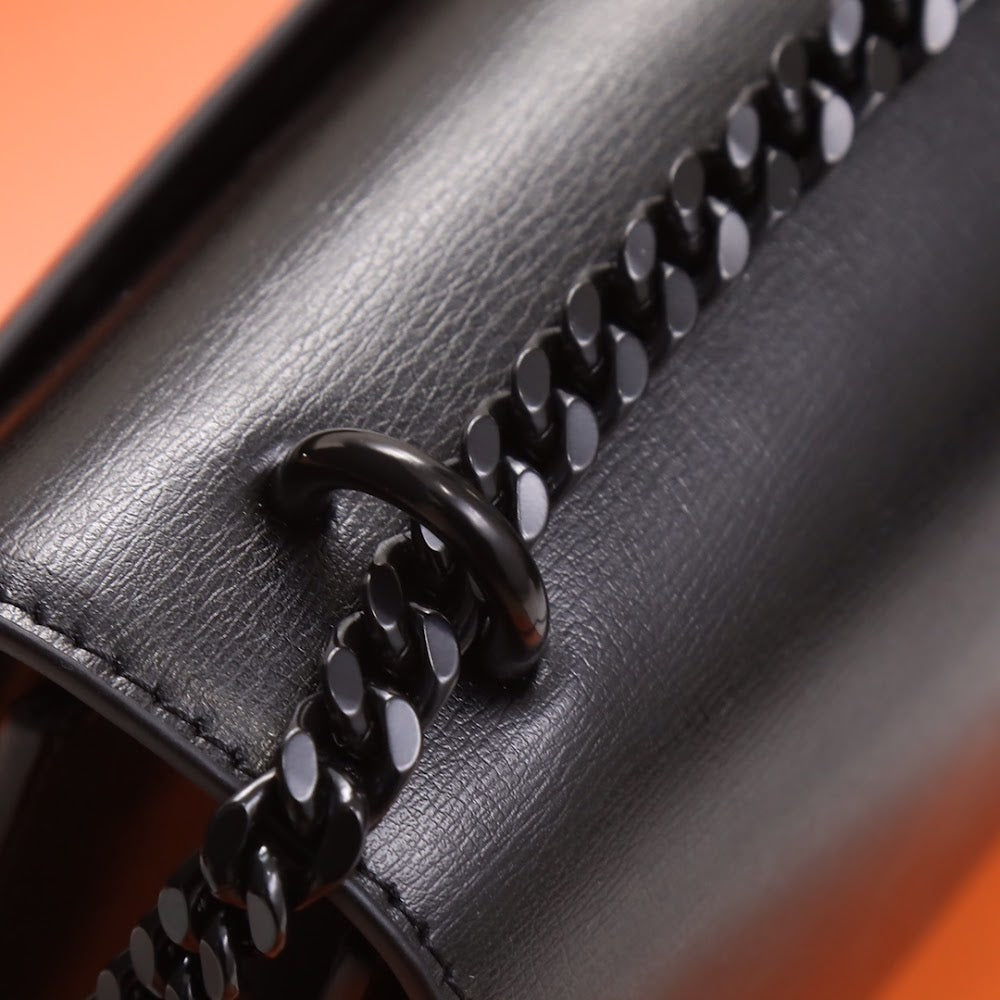 Ezyycart Bags YSLn Luxury Bag --119501