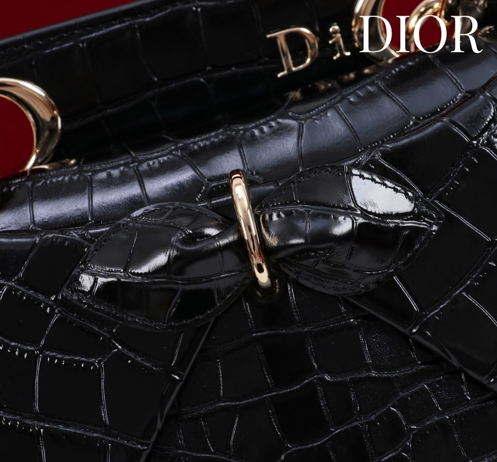Anum Bags Diorn Luxury Bag --114796