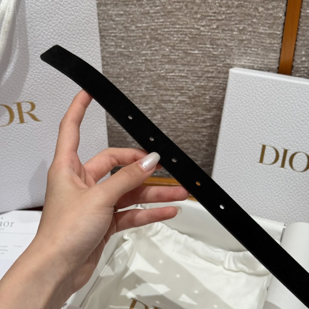 Anum Bags Diorn Luxury Belt --107832