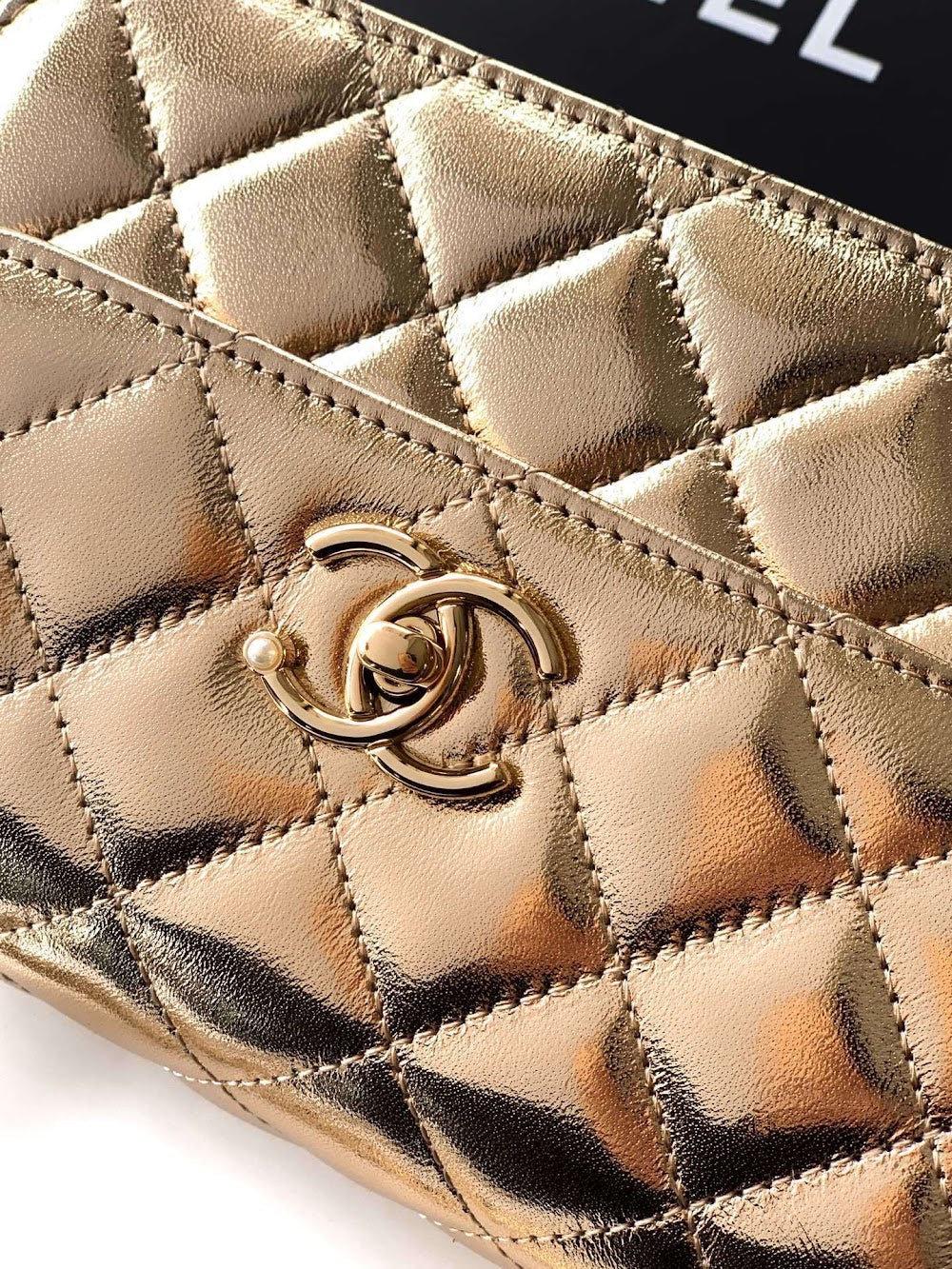 Anum Bags CHn Luxury Bag --113953