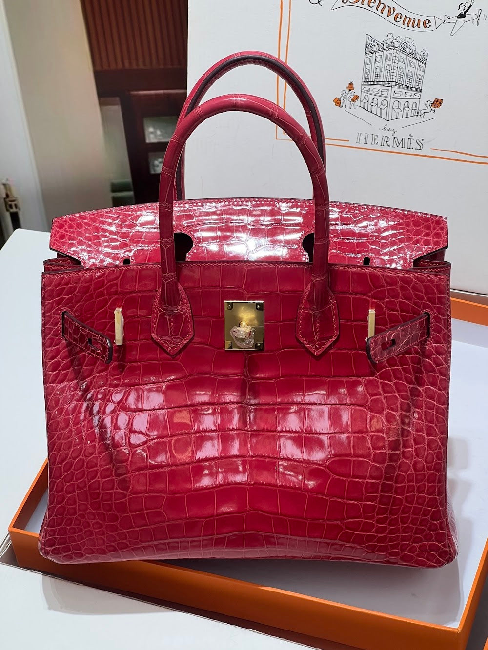 Anum Bags Hermesn Luxury Bag --117217
