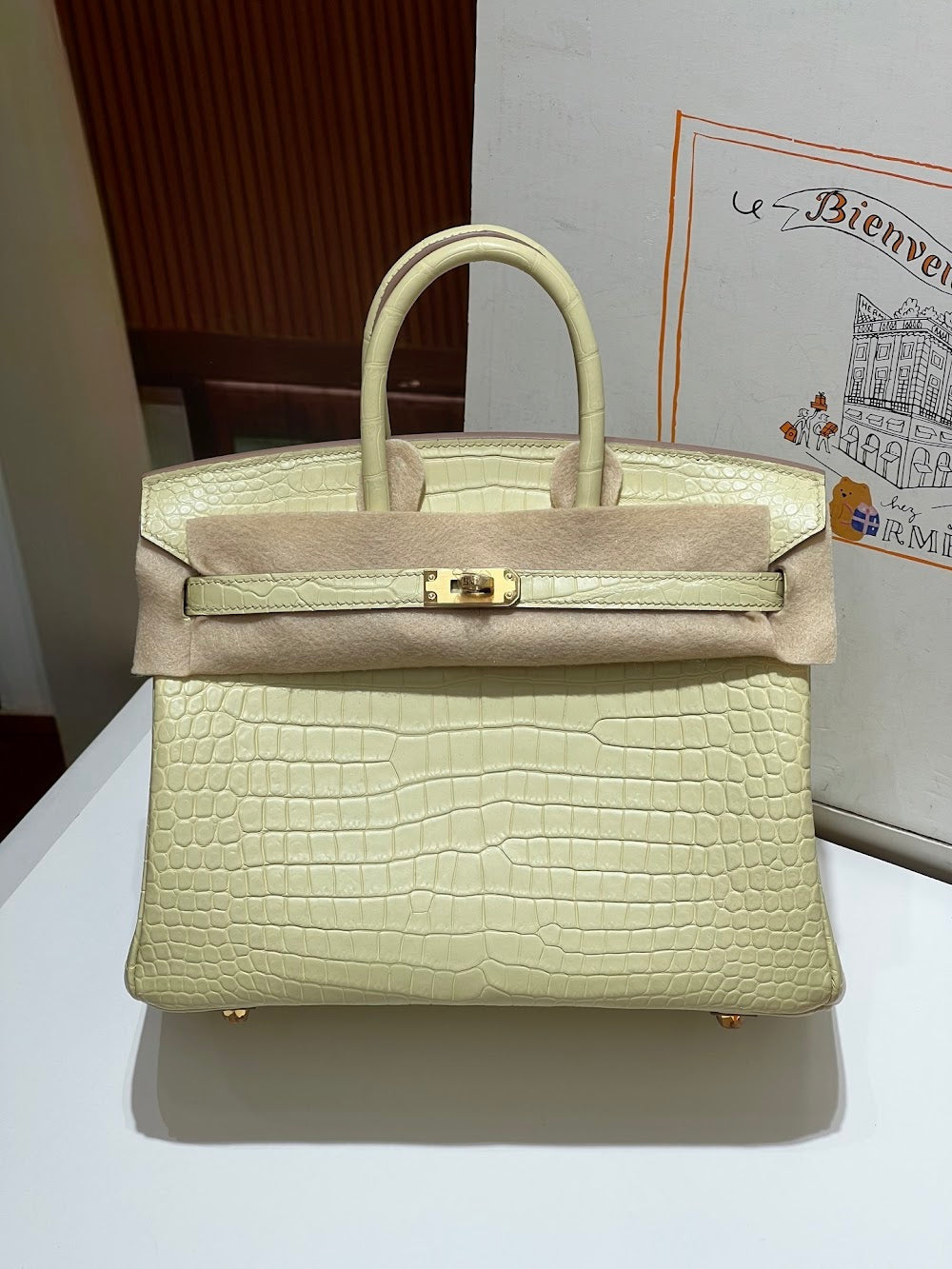 Anum Bags Hermesn Luxury Bag --117151