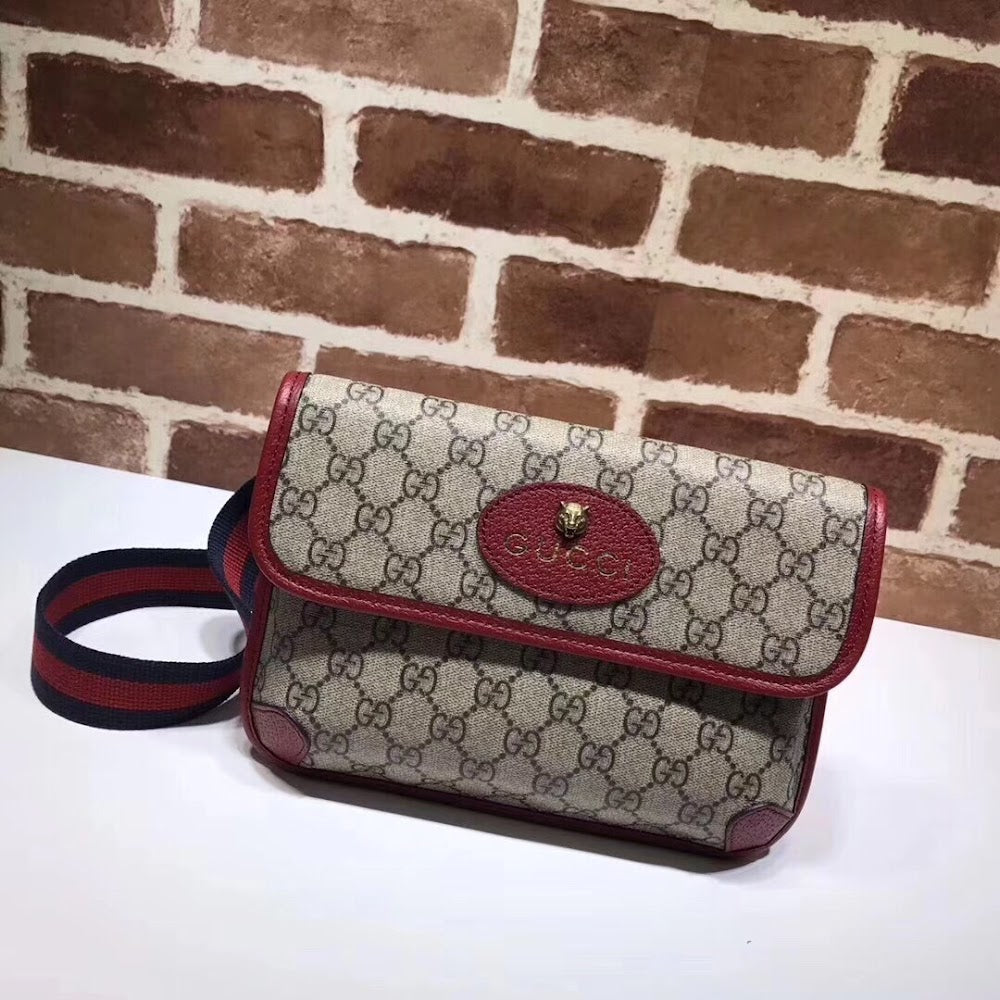 new-elite-designer-bags-nm17679