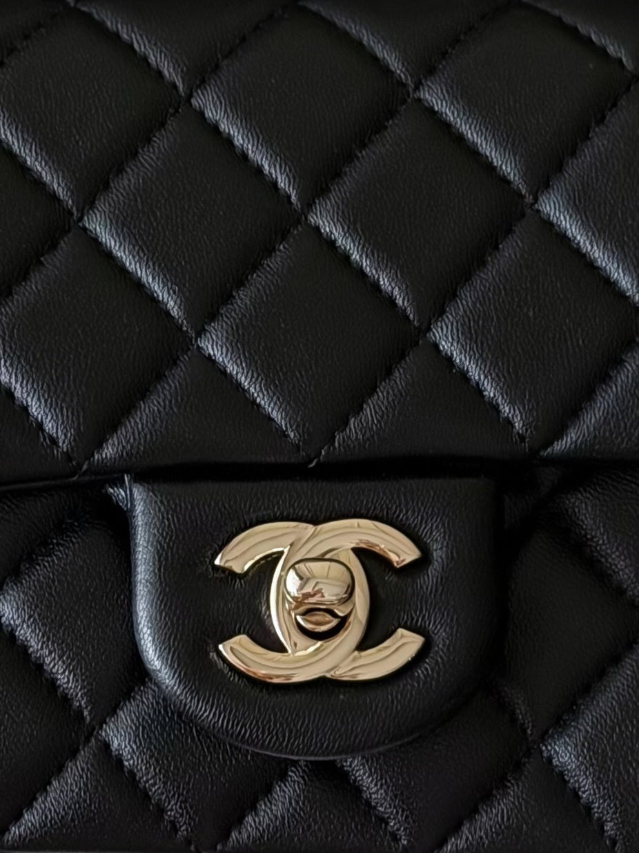 Anum Bags CHn Luxury Bag --114057