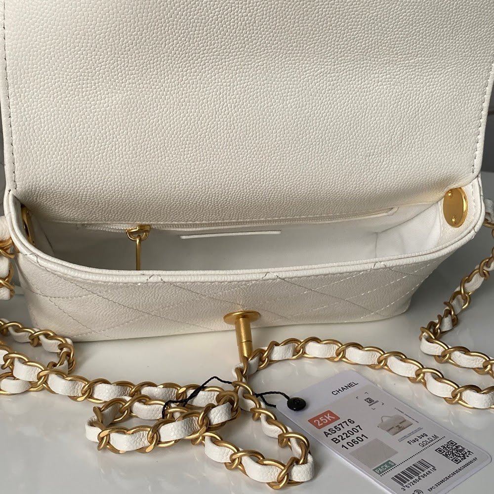 Anum Bags CHn Luxury Bag --113043