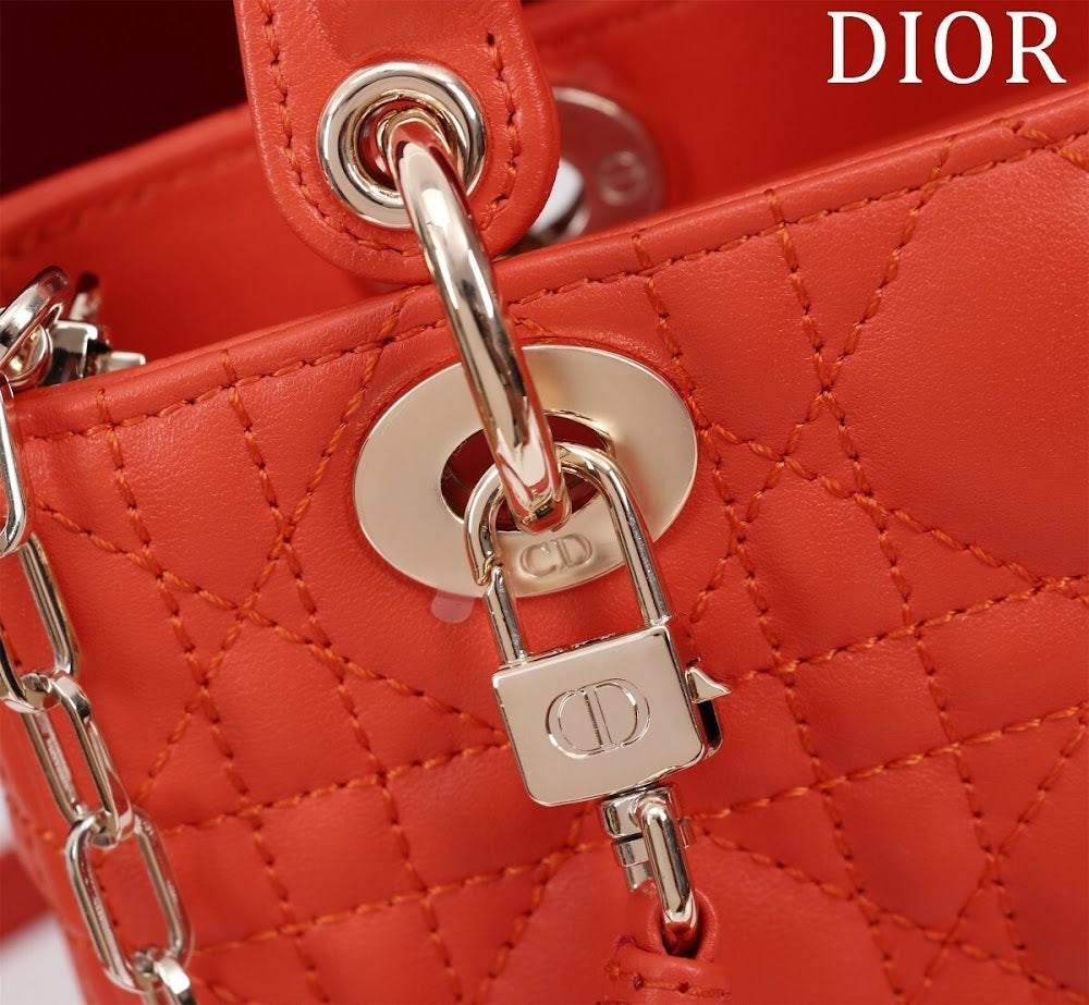 Ezyycart Bags Diorn Luxury Bag --116450