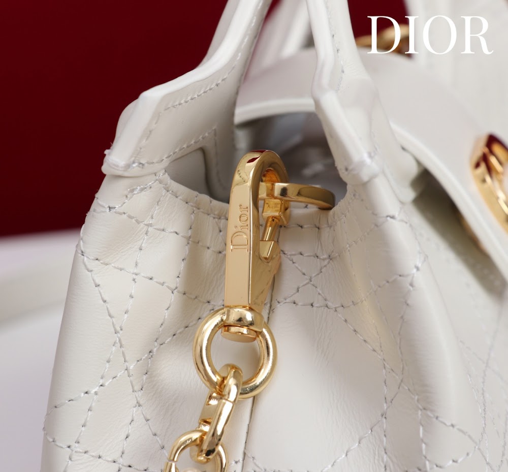 Anum Bags Diorn Luxury Bag --114555