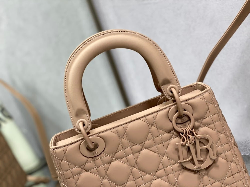 Ezyycart Bags Diorn Luxury Bag --116153