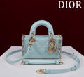 Ezyycart Bags Diorn Luxury Bag --116444