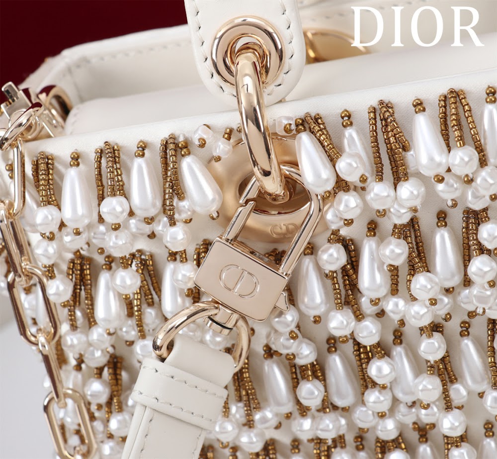 Anum Bags Diorn Luxury Bag --114711