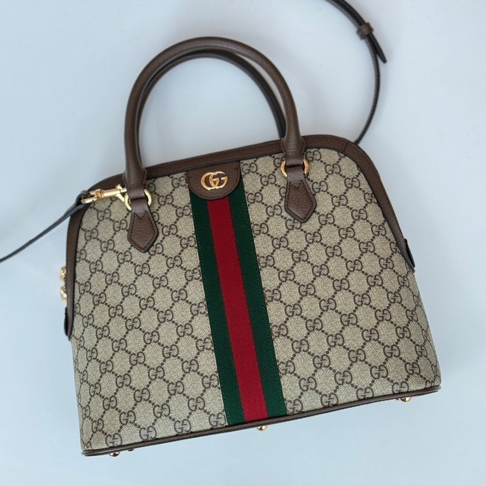 Ezyycart Bags Guccin Luxury Bag --94741