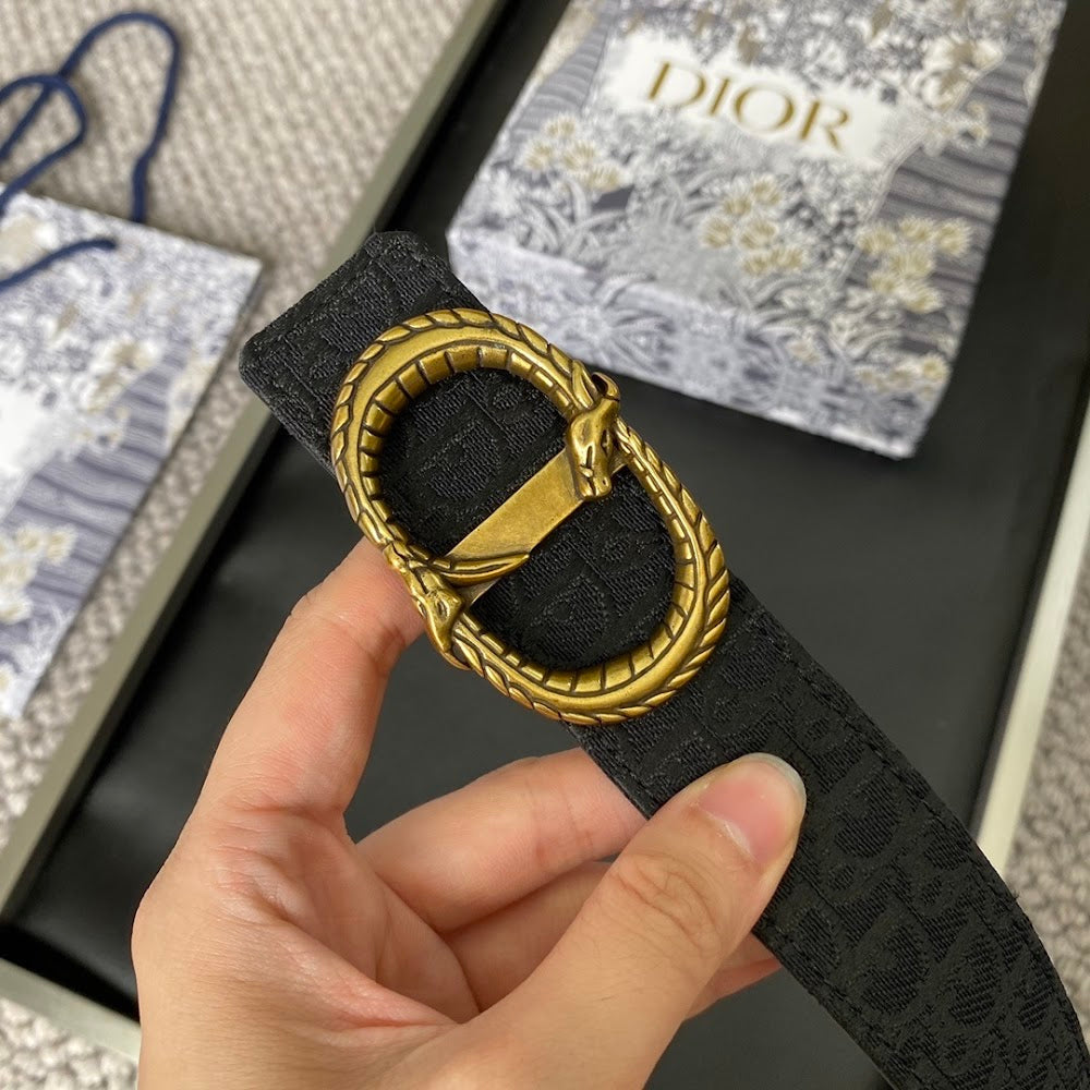 Anum Bags Diorn Luxury Belt --104902