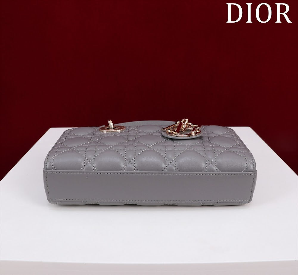 Anum Bags Diorn Luxury Bag --114759