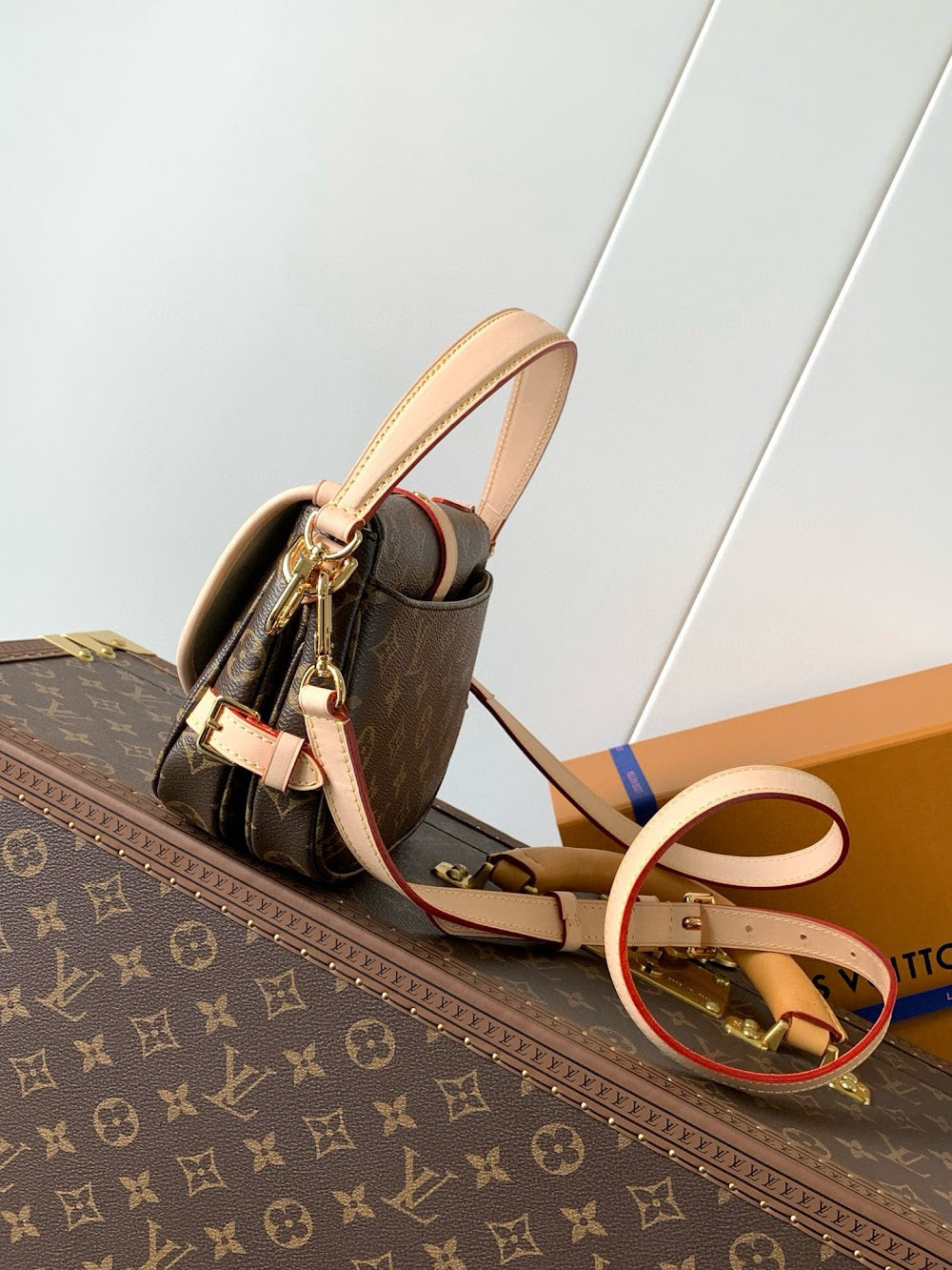 Anum Bags LVn Luxury Bag --80172