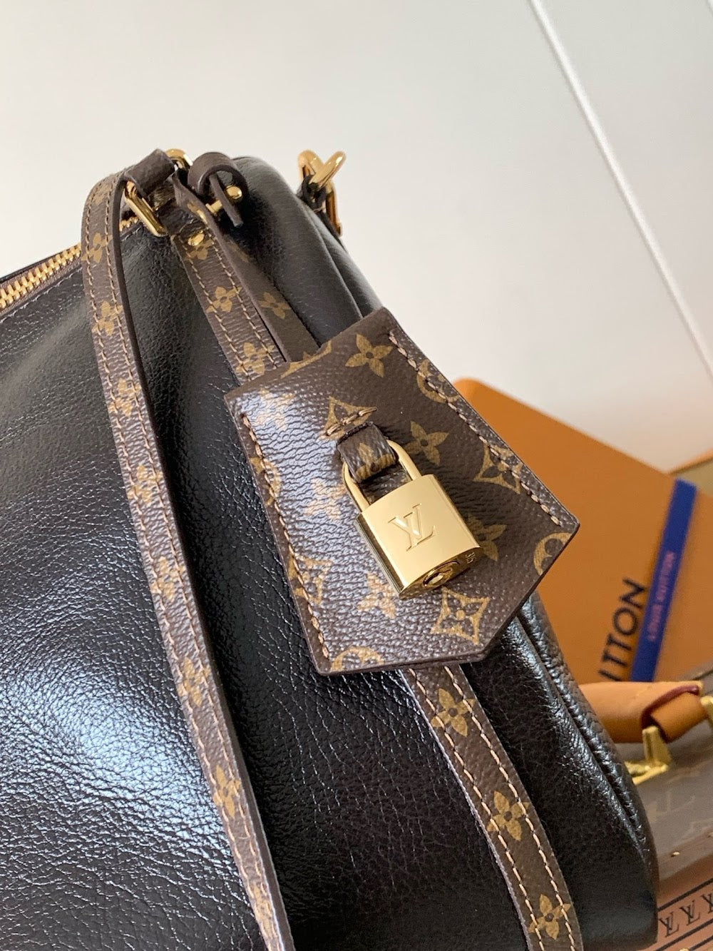 Anum Bags LVn Luxury Bag --80223