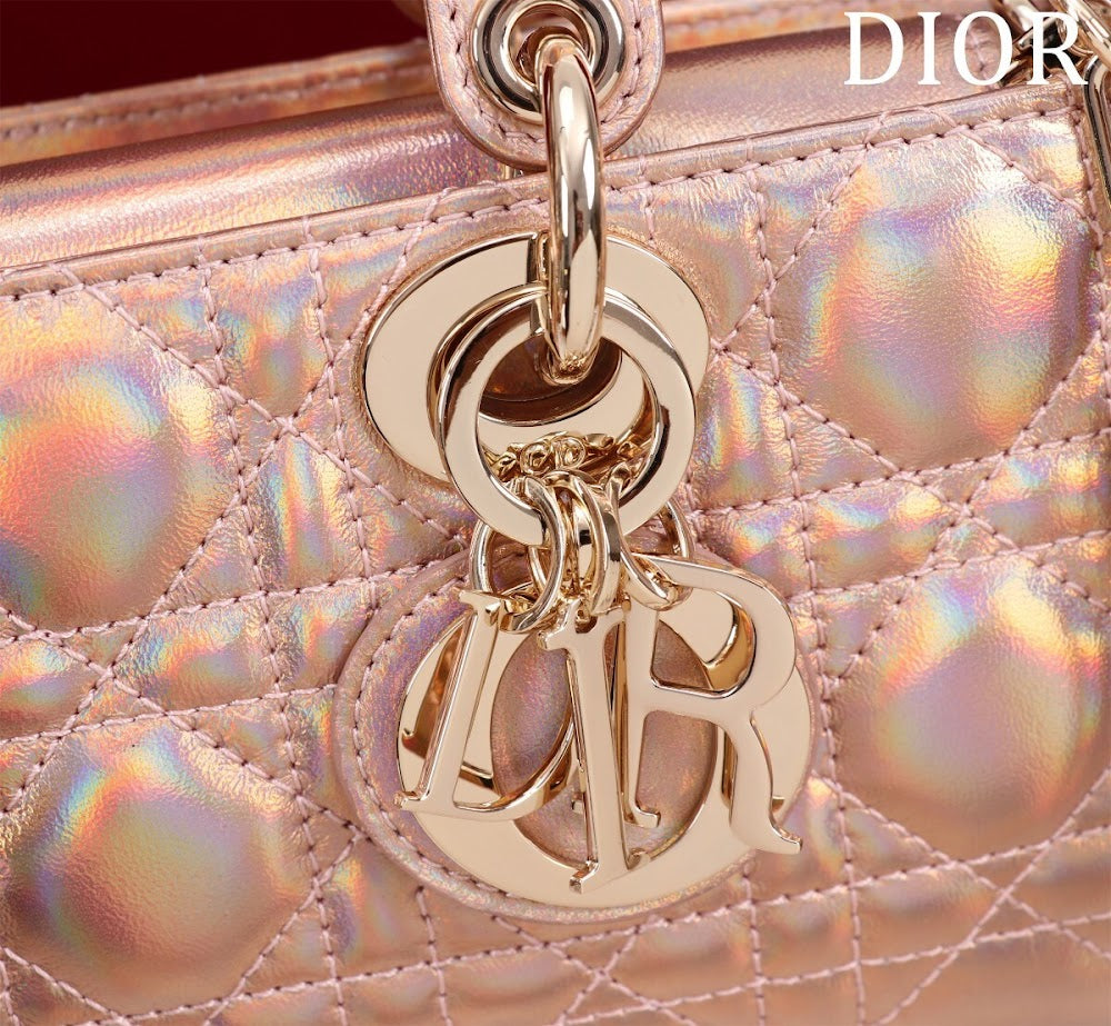 Anum Bags Diorn Luxury Bag --114737