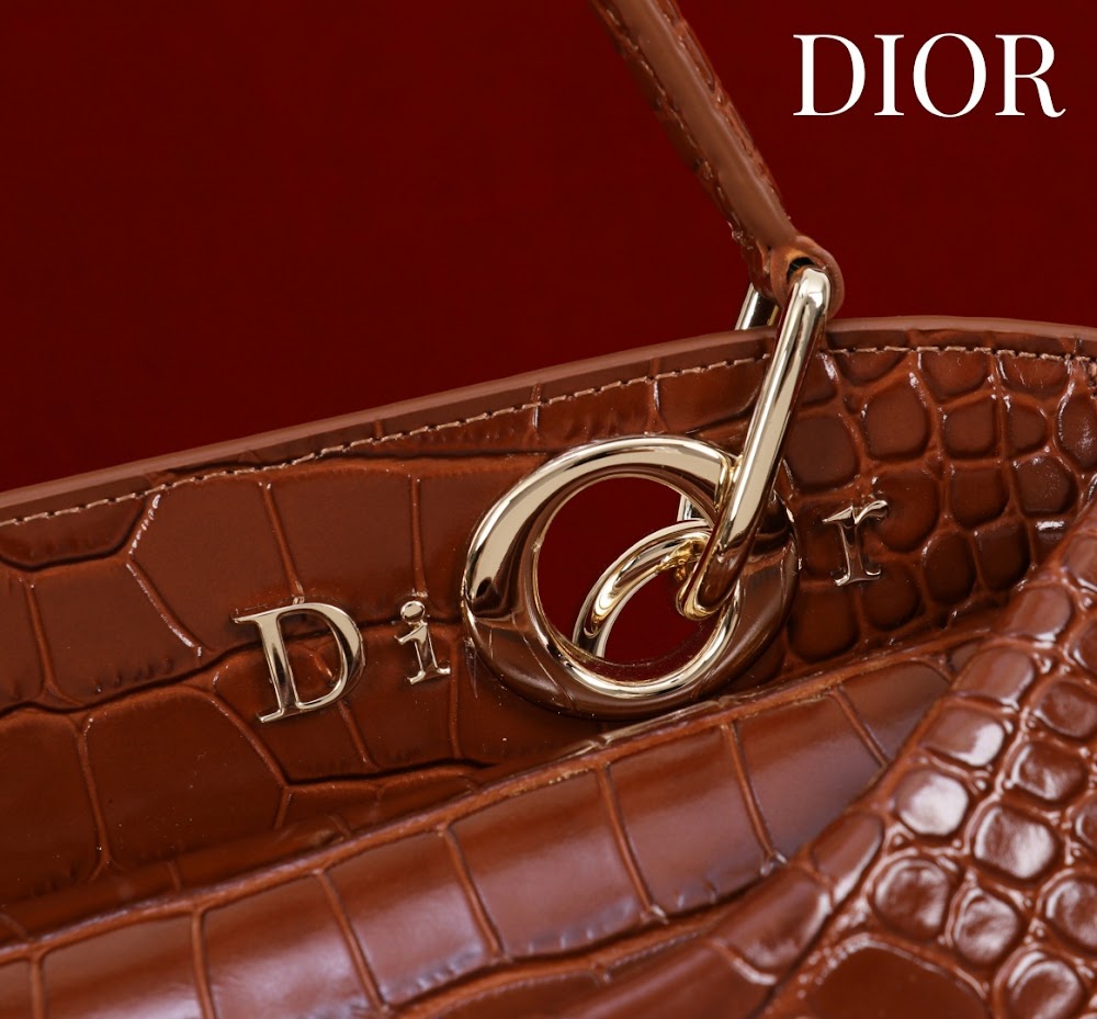 Anum Bags Diorn Luxury Bag --114790