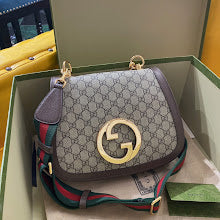 new-elite-designer-bags-nm8747
