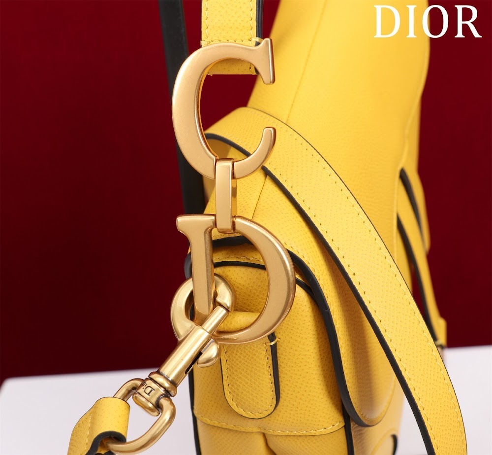 Ezyycart Bags Diorn Luxury Bag --116493