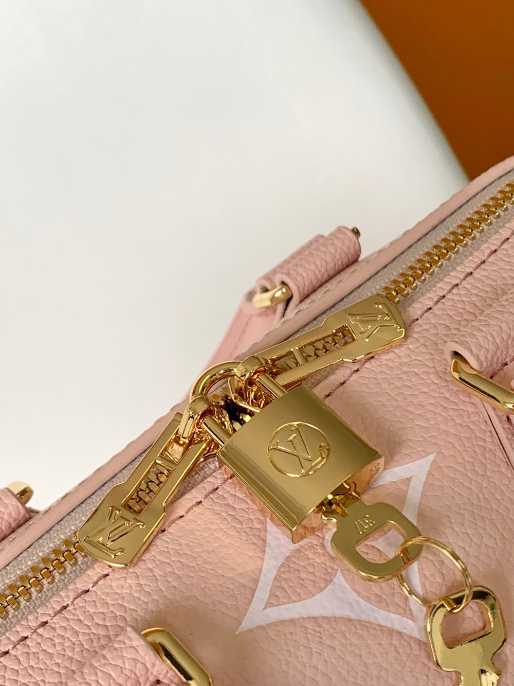 Anum Bags LVn Luxury Bag --79549