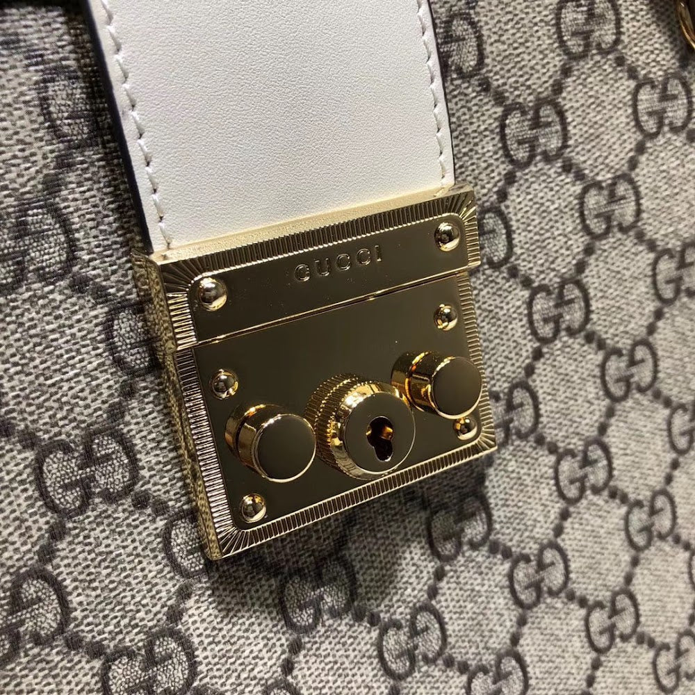 new-designer-premium-bags-nm17638