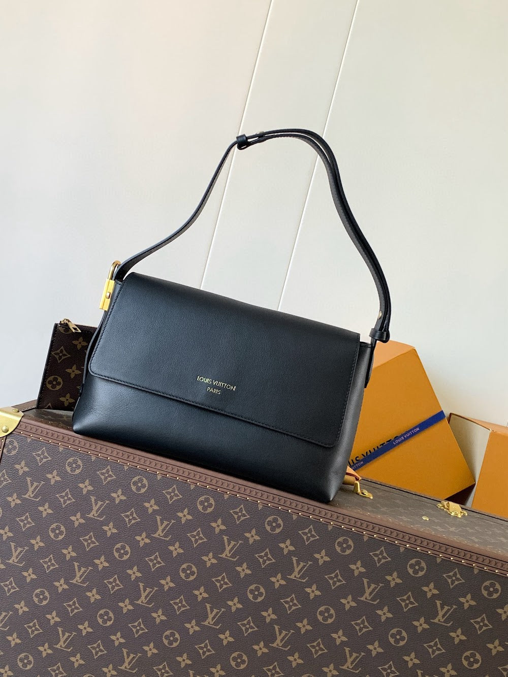 Anum Bags LVn Luxury Bag --79968