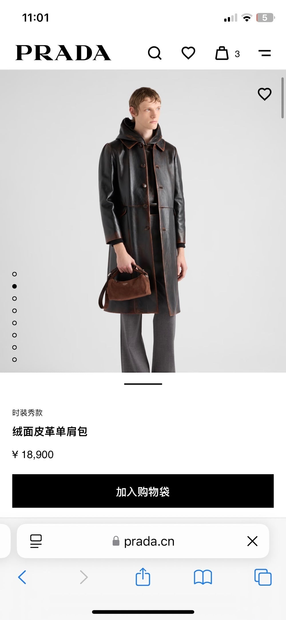 Ezyycart Bags Pradn Luxury Bag --102578
