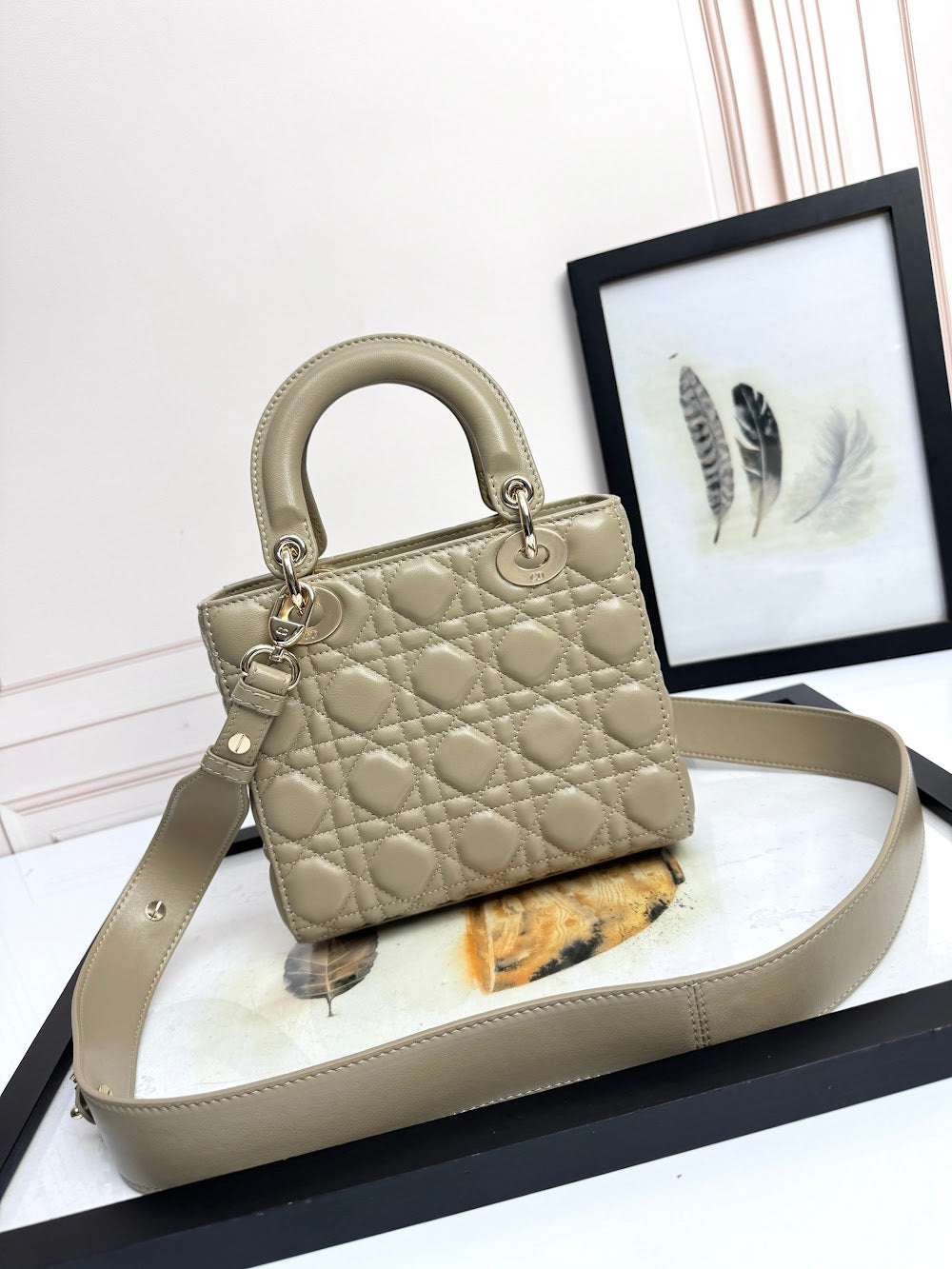 Anum Bags Diorn Luxury Bag --114946