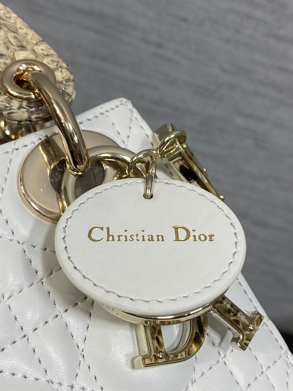 Ezyycart Bags Diorn Luxury Bag --115348