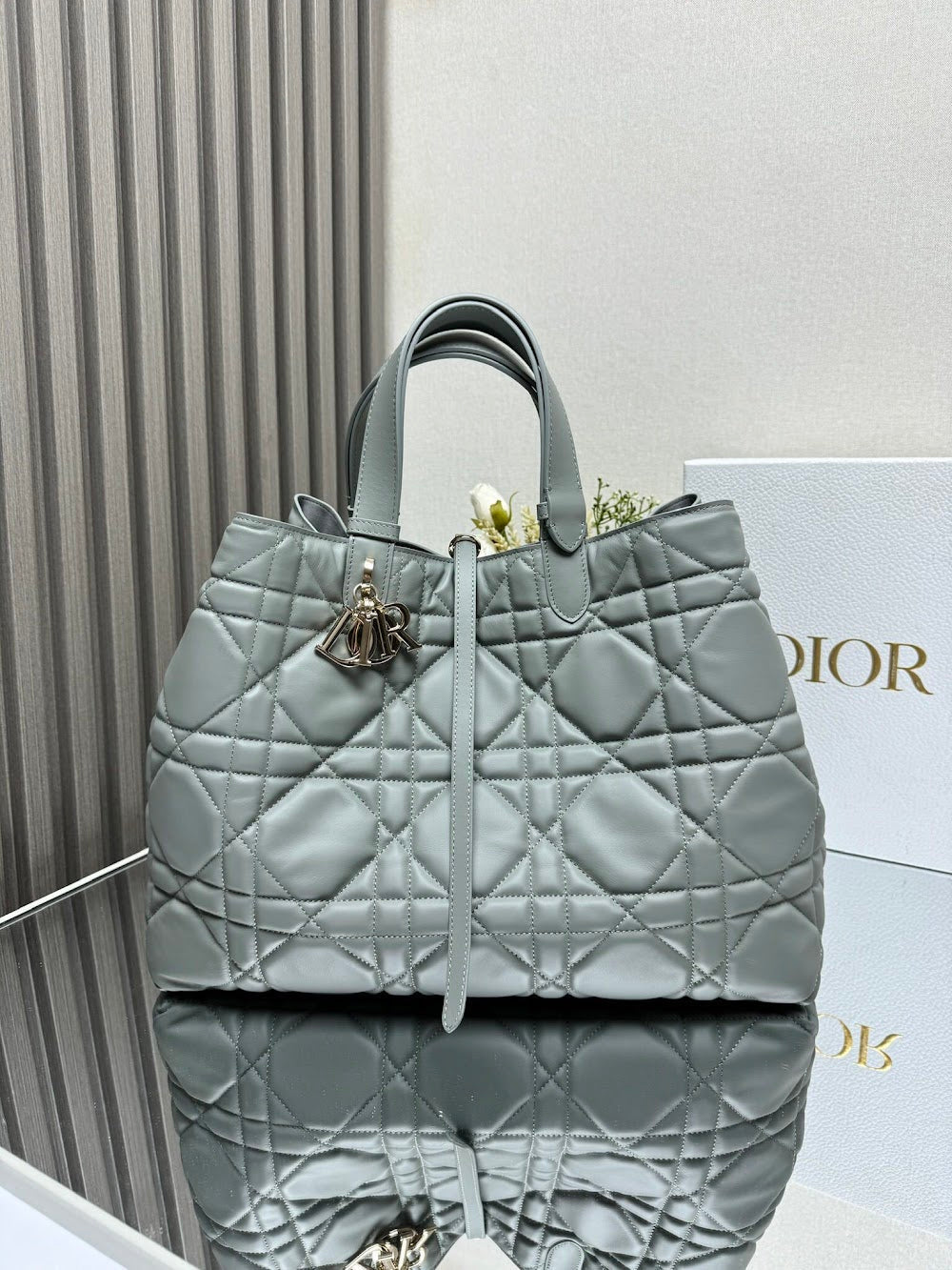 Ezyycart Bags Diorn Luxury Bag --116425