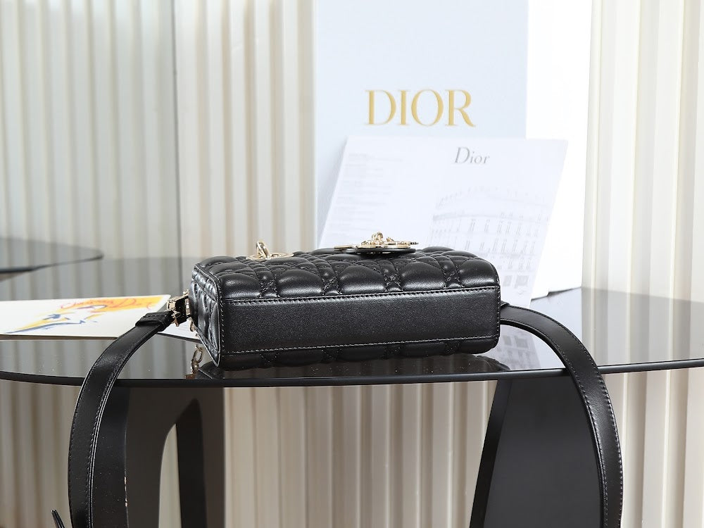 Anum Bags Diorn Luxury Bag --114838