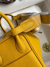 new-elite-designer-bags-nm11404
