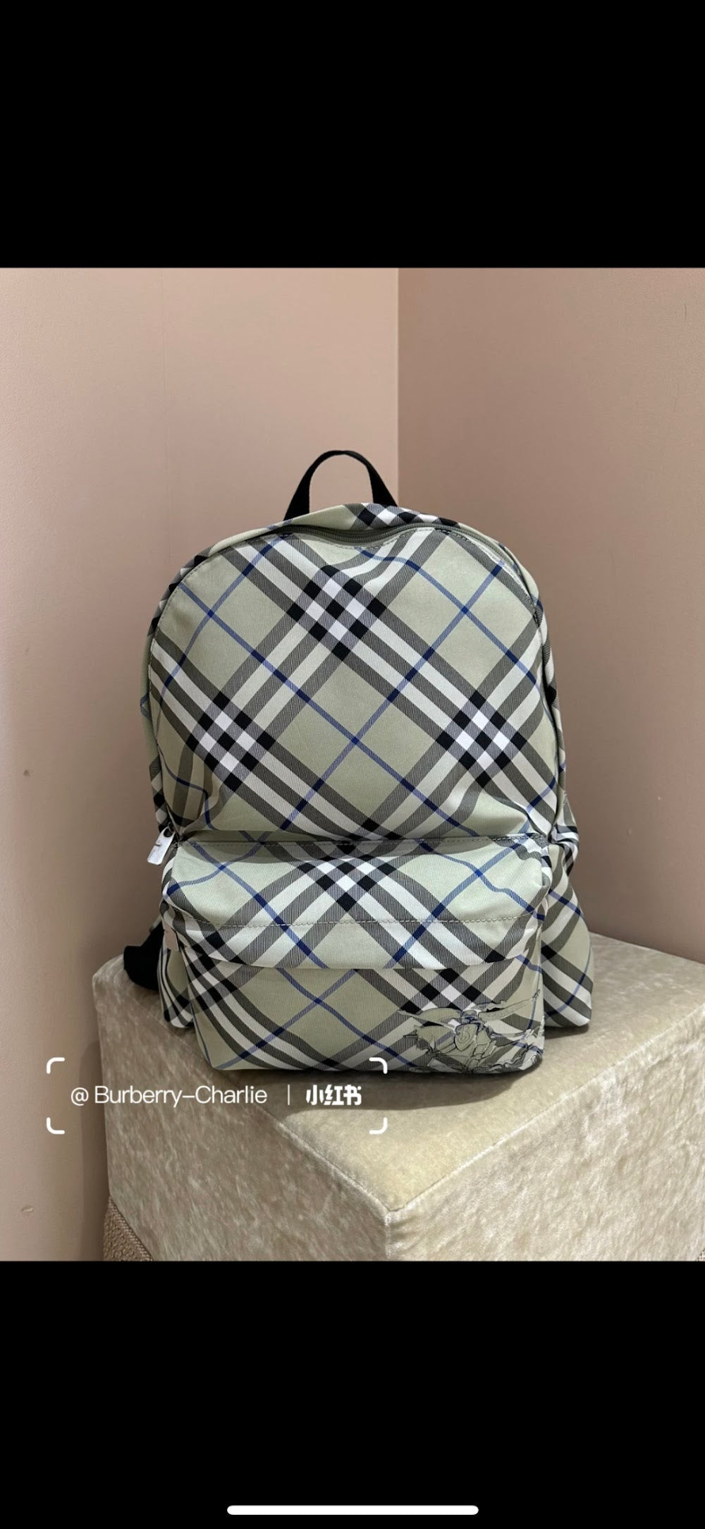 Ezyycart Bags Burberryn Luxury Bag --93077
