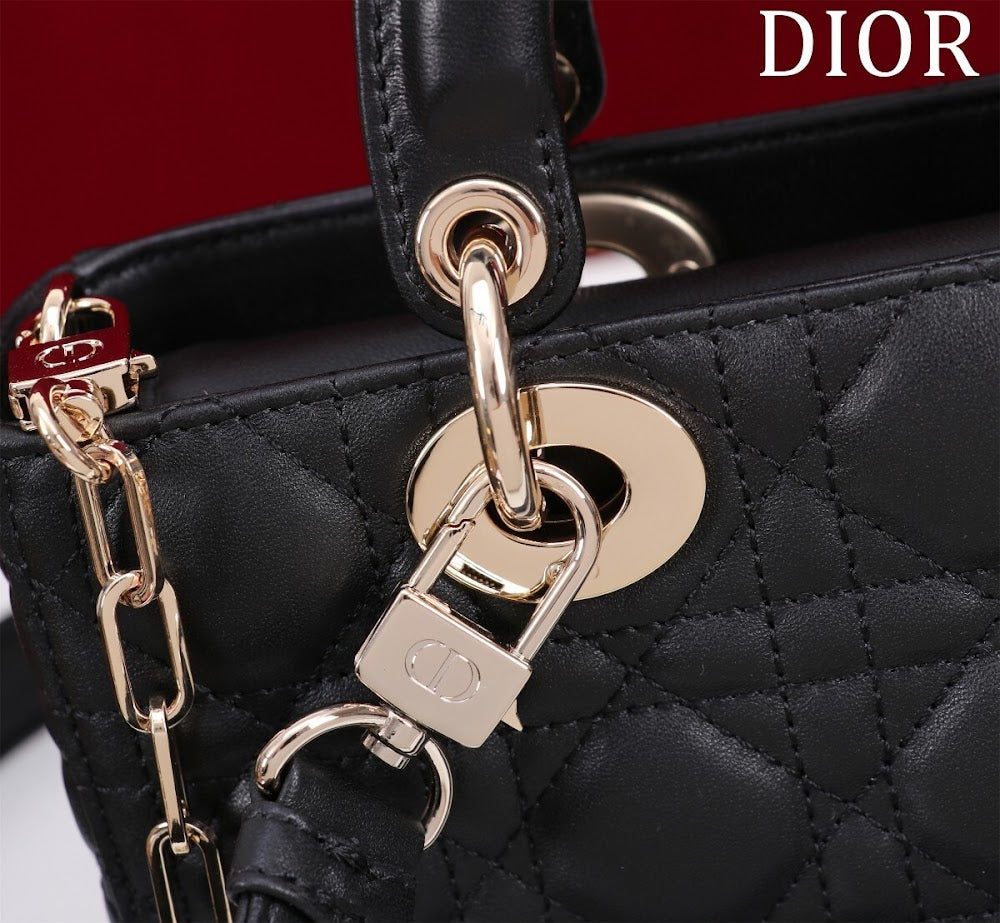 Anum Bags Diorn Luxury Bag --114714