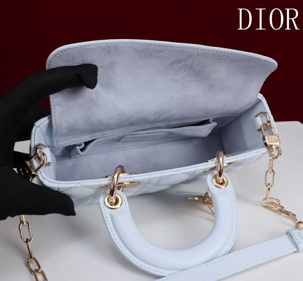 Anum Bags Diorn Luxury Bag --114713