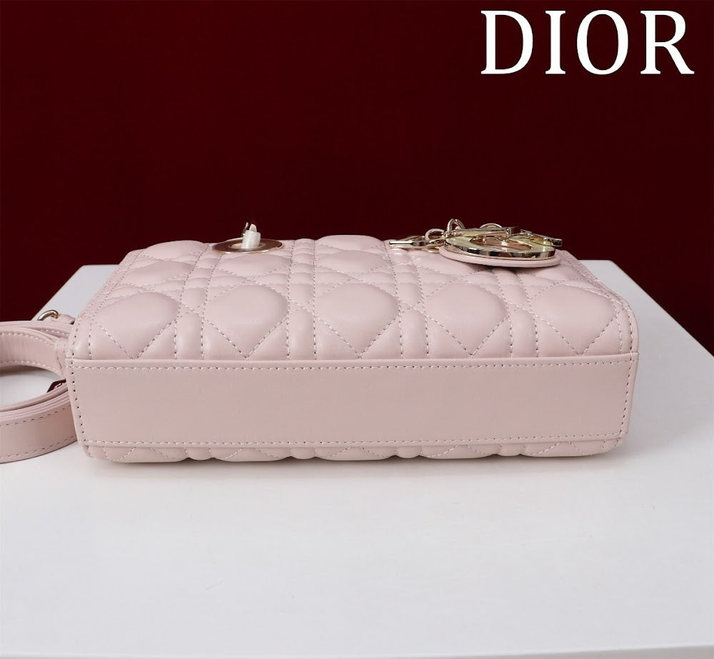 Anum Bags Diorn Luxury Bag --114847