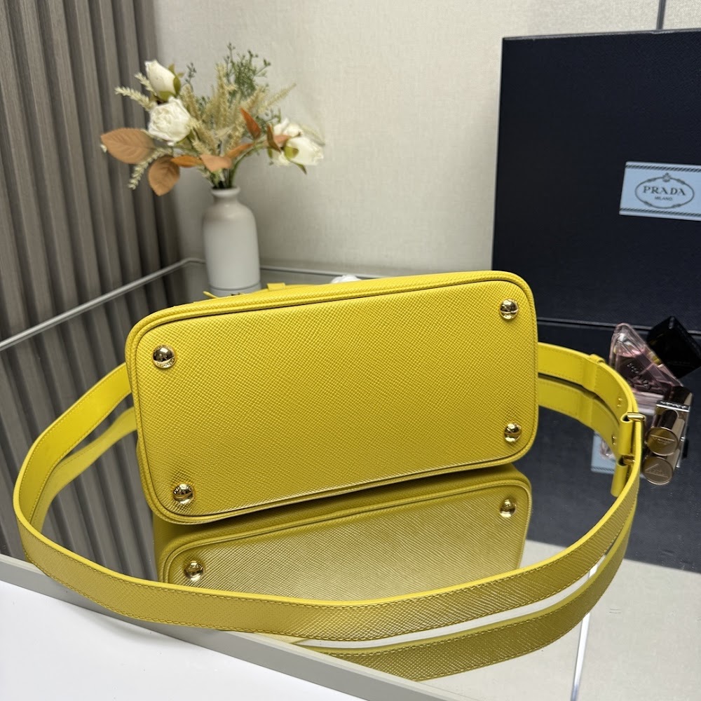 Ezyycart Bags Pradn Luxury Bag --102318