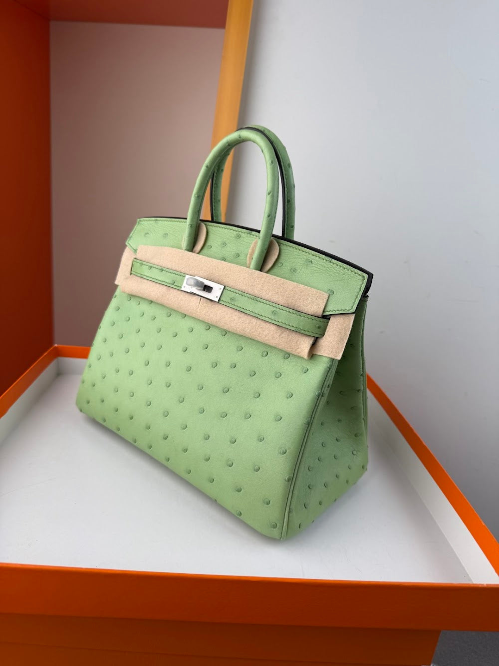 Anum Bags Hermesn Luxury Bag --116758