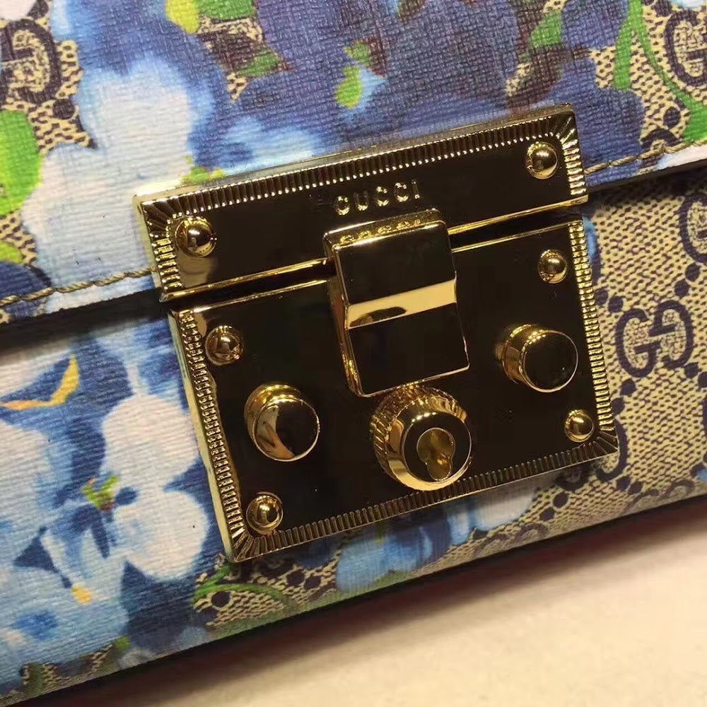 new-designer-premium-bags-nm17650