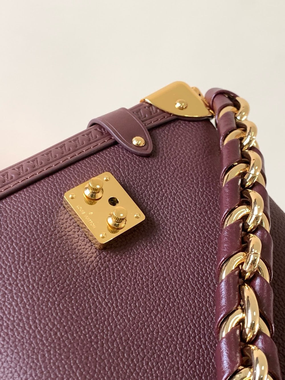 Anum Bags LVn Luxury Bag --80425
