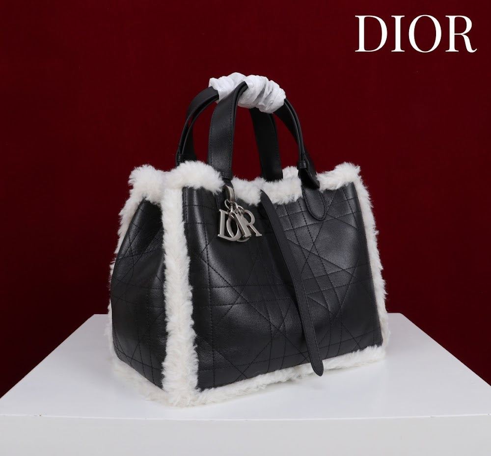 Anum Bags Diorn Luxury Bag --114889
