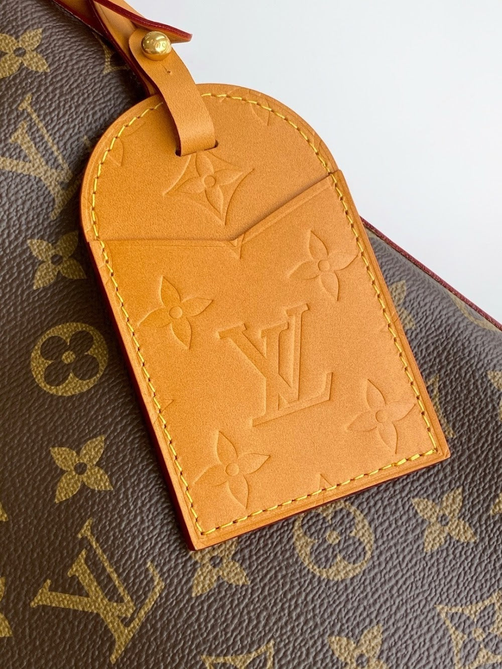 Anum Bags LVn Luxury Bag --79469