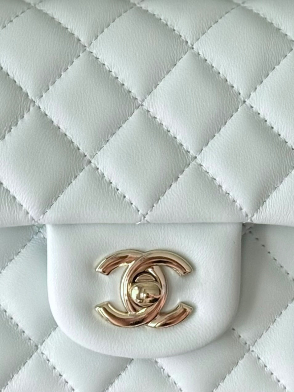 Anum Bags CHn Luxury Bag --112997