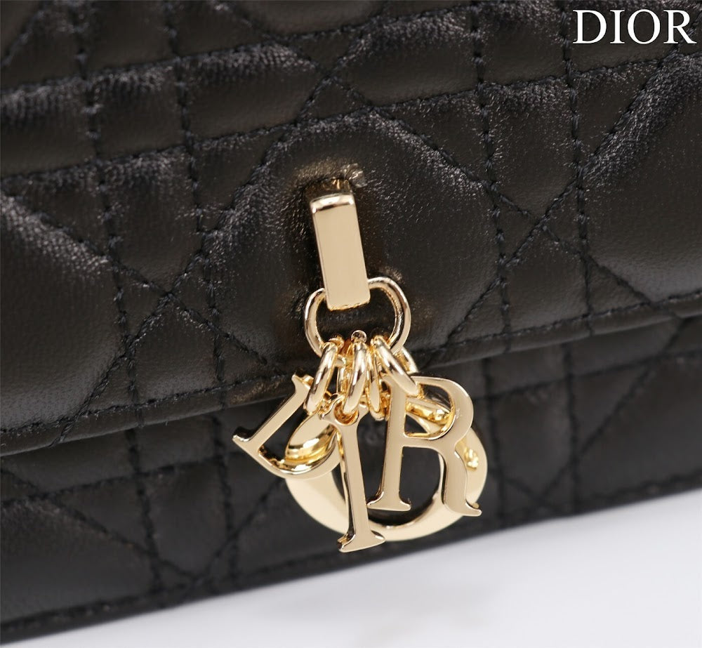 Ezyycart Bags Diorn Luxury Bag --116234