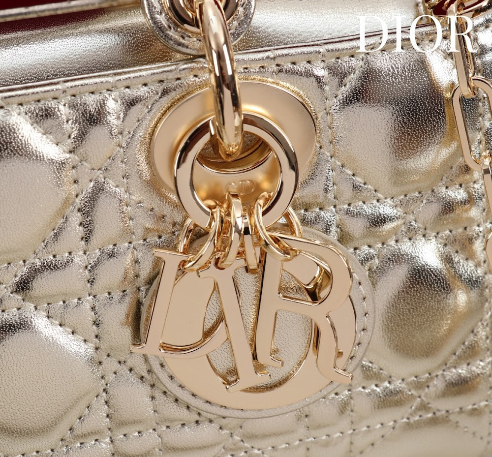 Ezyycart Bags Diorn Luxury Bag --114715