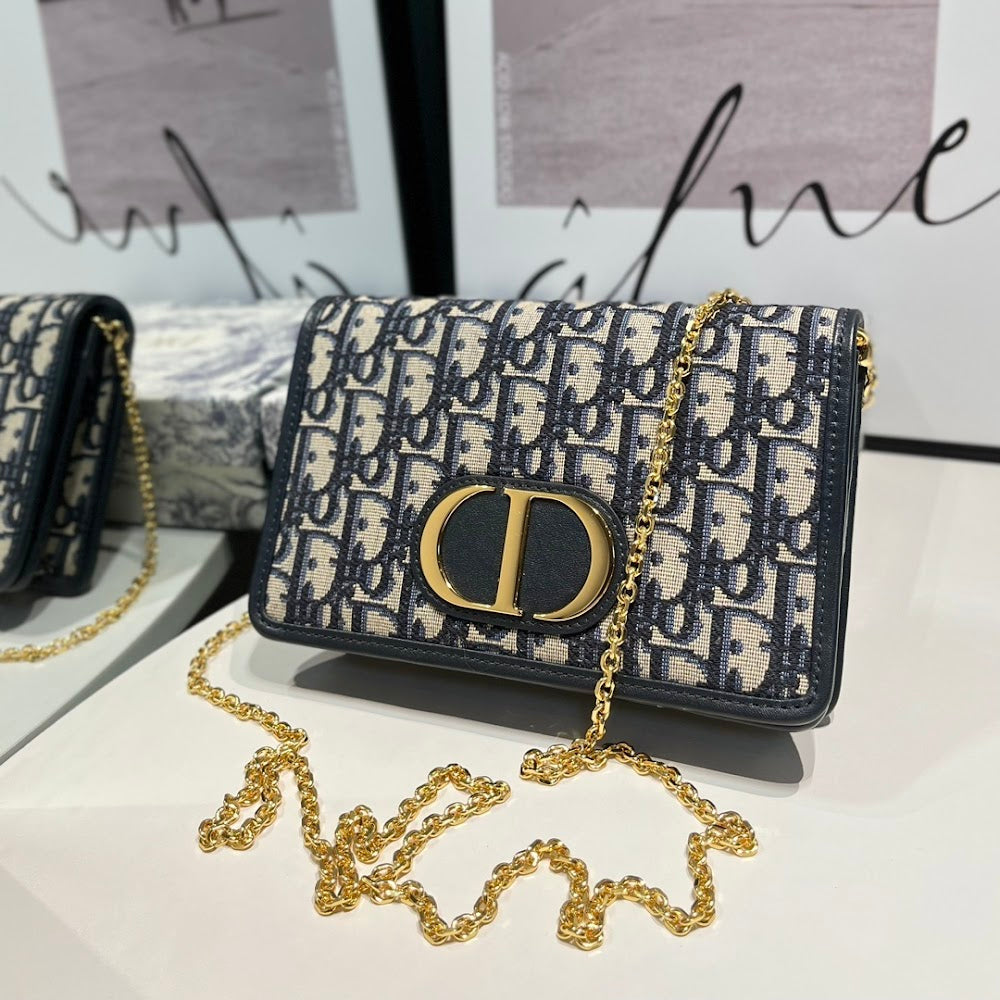 Ezyycart Bags Diorn Luxury Bag --115818