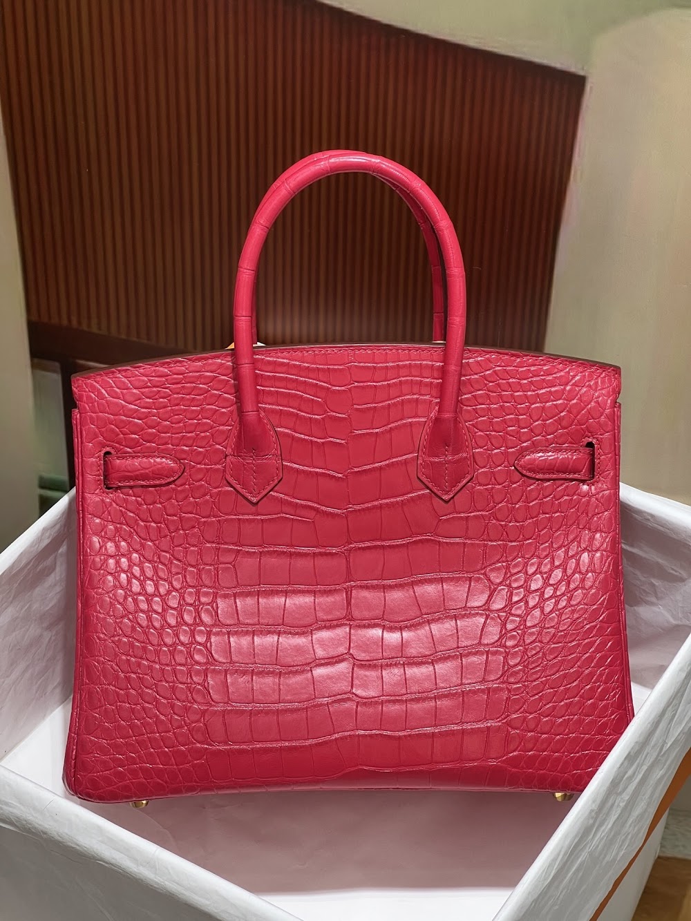 Anum Bags Hermesn Luxury Bag --117197