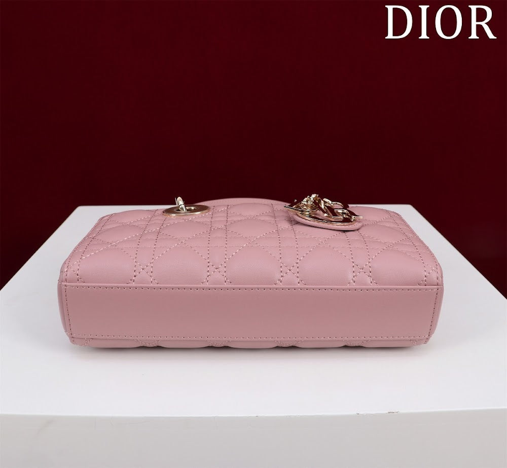 Anum Bags Diorn Luxury Bag --114749