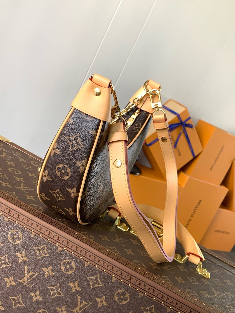 Anum Bags LVn Luxury Bag --79994
