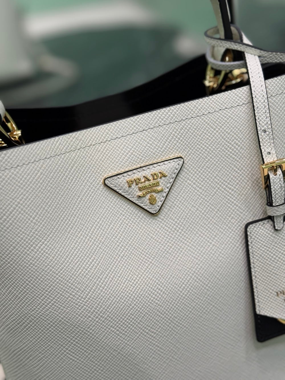 Ezyycart Bags Pradn Luxury Bag --102110